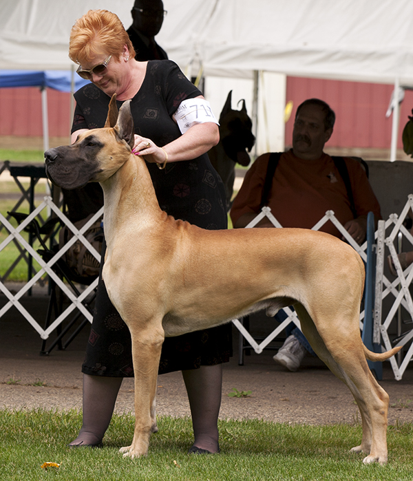 Mojo - Hauerdane's I've Got The Magic N' Me