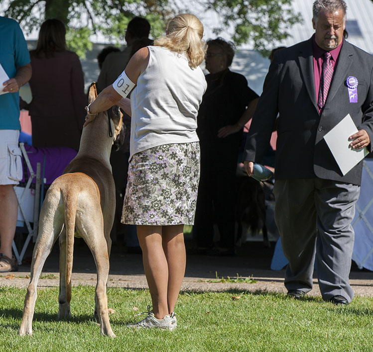 Northwind Rock You Like A Hurrican