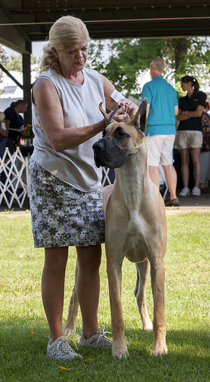 Northwind Rock You Like A Hurricane