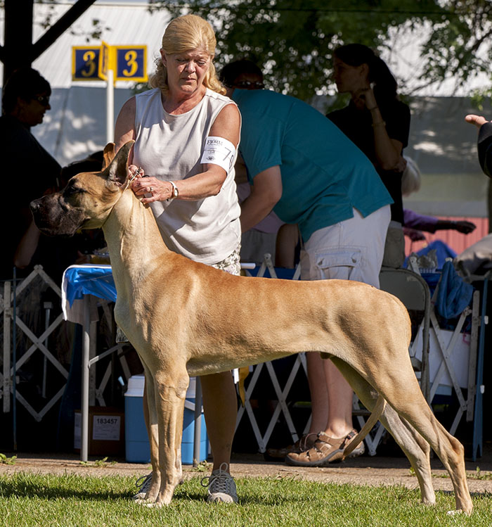 Northwind Rock You Like A Hurricane