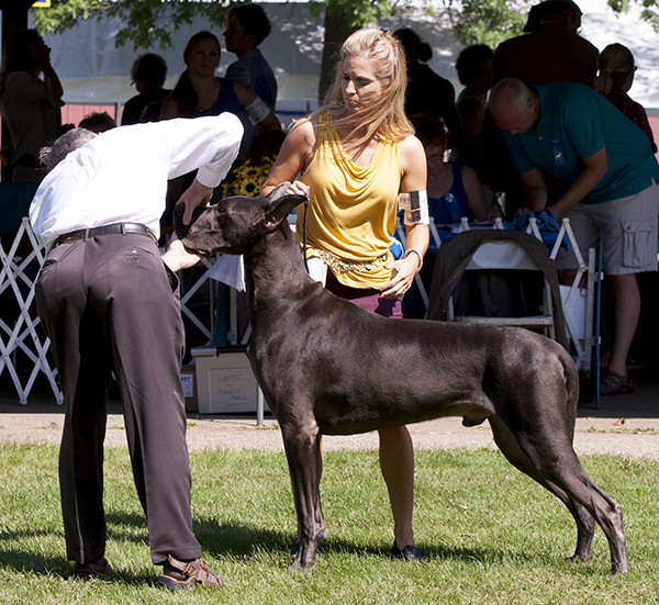 Dreamkeeper's Great Adventure V Stuhr