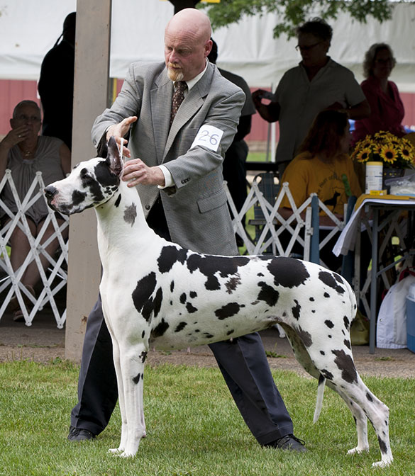 Patientdane-GMJ-TandT's BestPoker-Face'N'Town