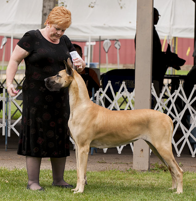 Sumner B'N Followed By A Moon Shadow