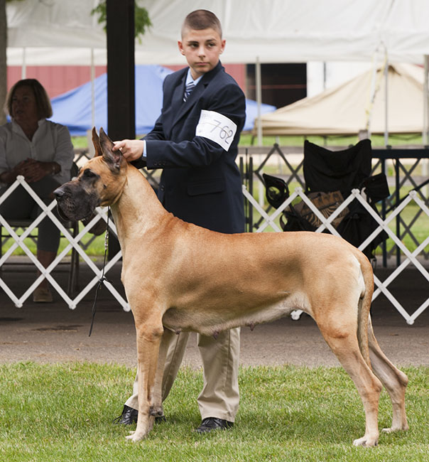 CH Summer Meadow-Spellbound's Bewitched