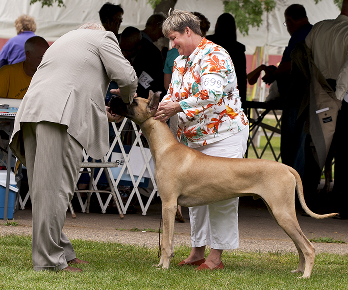 Strider N Leinenstones Navan
