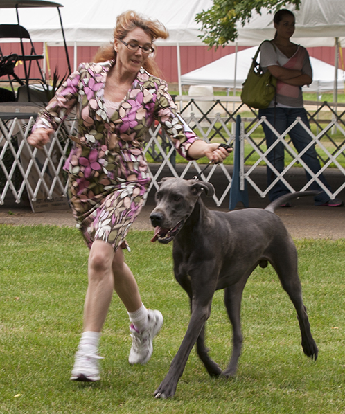 Sterling's Dewitt Out of This World v Dark Horse