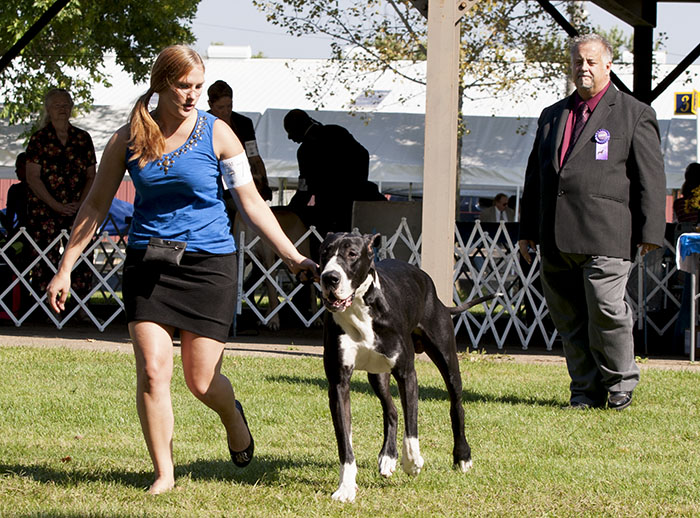 Chanoz Sweet Treat v Eye Candy