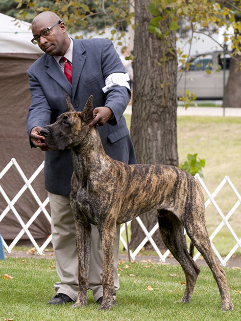 TLC's Mauck One At Dioladanes