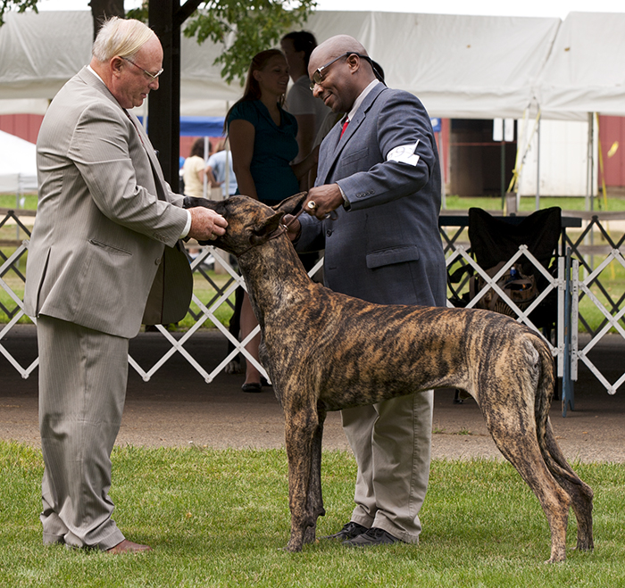 TLC's Mauck One At Dioladanes