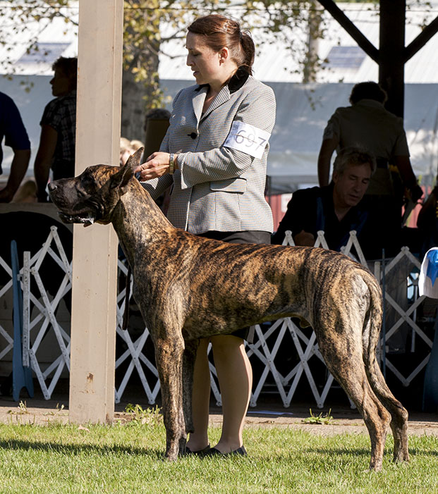 TLC's Mauck One at Dioladanes