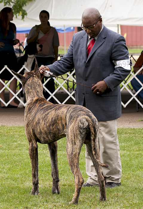 TLC's Mauck One at Dioladanes