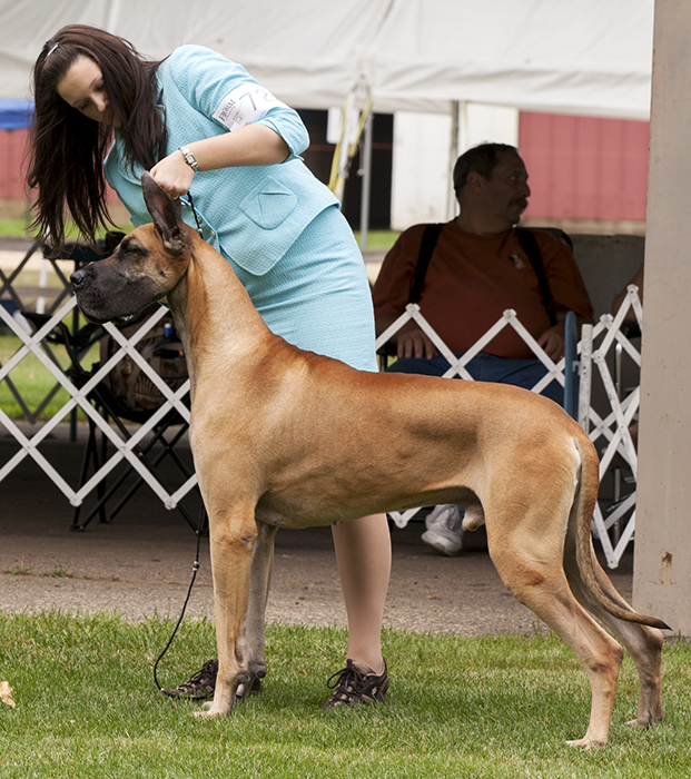 Vicson's My Dust Devil