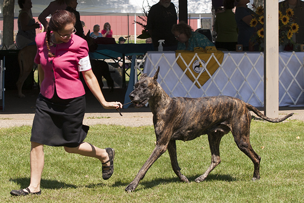 Roserun's Ain't She A Charm'd One