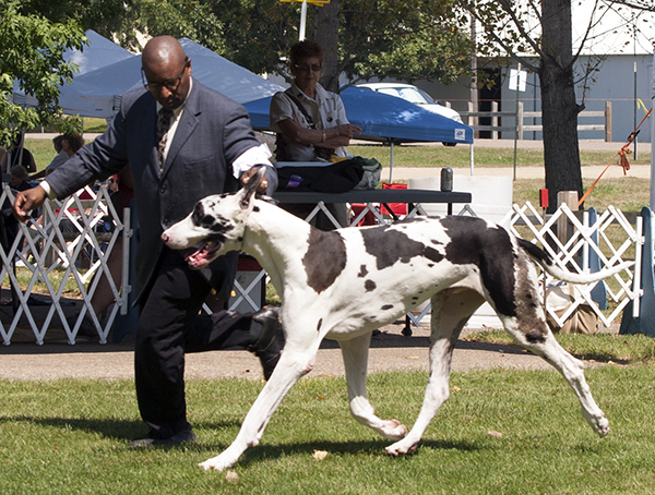 Patientdane-GMJ-Tanddt's BestPokerface"N"Town